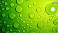/album/galerie-foto%3a-acas%c4%83/green-bubbles-awesome-background-jpg/